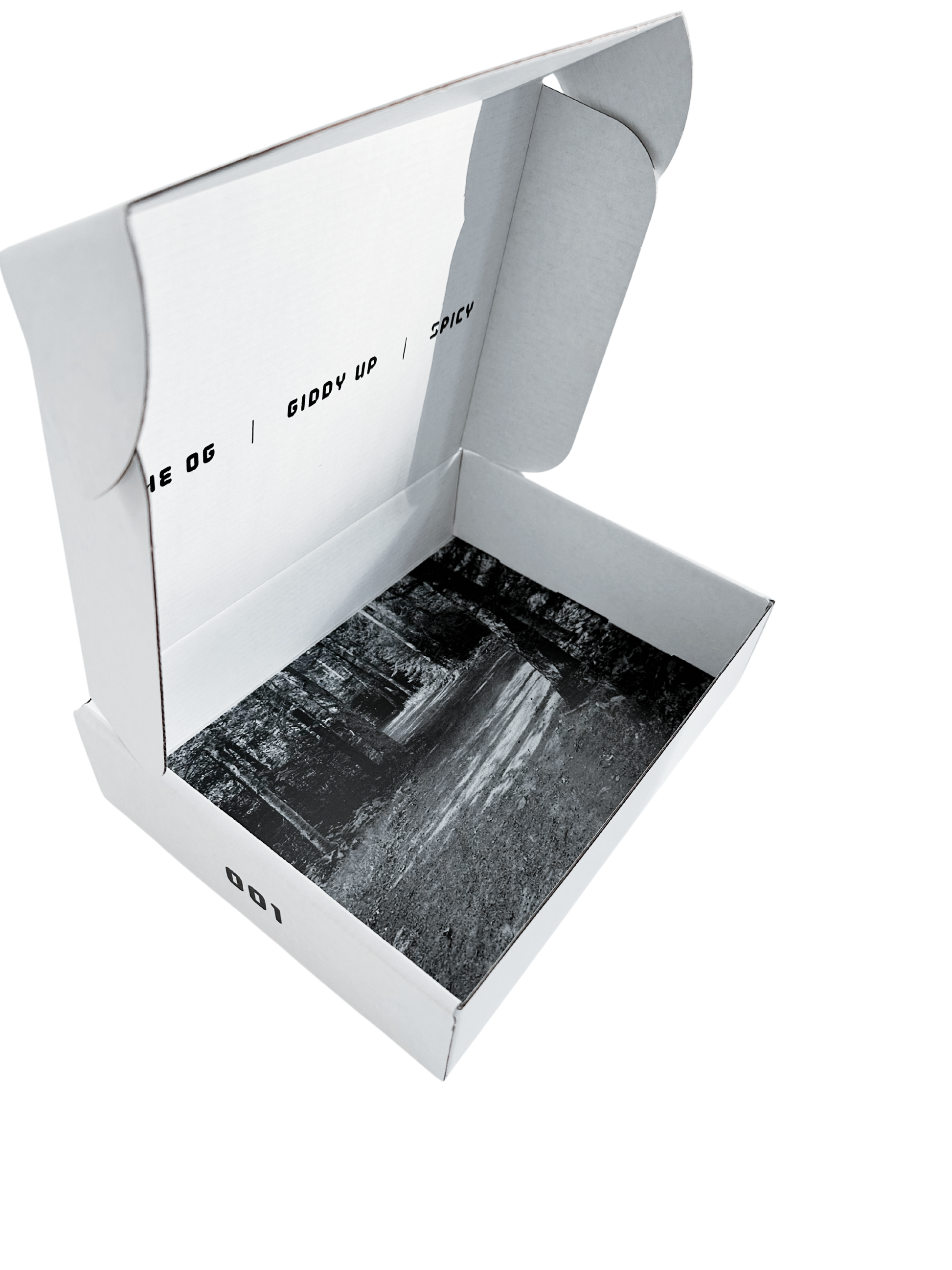 Photograph of empty Collection 001 Pairr box