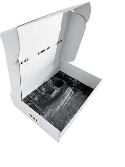 Photograph of empty Collection 001 Pairr box